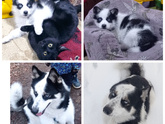 Люблю❤️