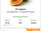 Врываемся в 24 неделю ?
