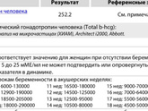 10 дпо