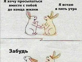 Фотография 2021-02-13 06:06:42