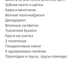 Сумка в роддом