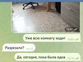 Приметы и старшее поколение.