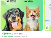 Ультразвуковой отпугиватель от тараканов , вреден кошкам ?