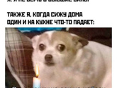 Фотография 2021-02-21 00:06:51