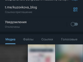 Трудоустроена по срочному трудовому договору