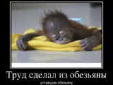 С пятницей! Поднимаем себе настроение)