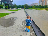 Сегодня был дождь