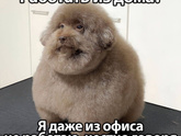 Подработка на дому. Кто чем занимается?