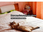 Ладрамхайола - вас тоже поглотила?