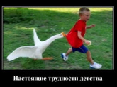 Что вам сложнее всего давалось в детстве?