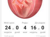 24 недели🤰🏼