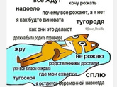 Заметки перед родами 07.09