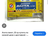 Нашествие мух Уже