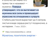 Растение Эпипремнум приметы 🌿