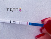 7 ДПП