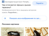 Это таракан?