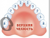 Прорезывание Зубов, не поздно?