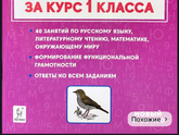 Лето у школьников
