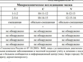 Помогите пожалуйста расшифровать результаты