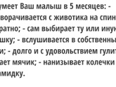 5 мес 🤍