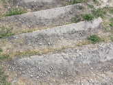 Прогулка