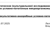 Я ничего не понимаю