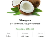31 неделя .