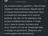 Во всем виноват кот.