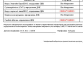 Герпес 6 типа