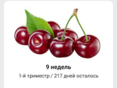 9 недель🤗 Перешли
