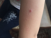 Подскажите, пожалуйста, что это