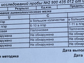 Девочки подскажите беременность 13