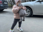 Любимая игрушка