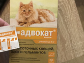 К пред пасту, эффективный?!
