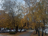 Красота😍💓😍💓😍💓