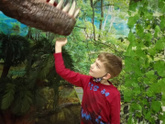 Выставка динозавров🦖
