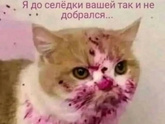 Что будете готовить на новый год?