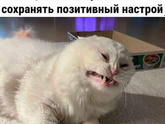 Прям затяжная черная полоса