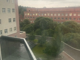 Выписка