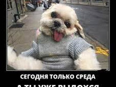 Как вы себя чувствуете?