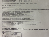 Девочки , маленький живот