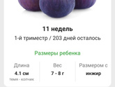 ?11 неделек?