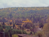 Красота осени 🍁