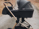 Anex sport или Carrello epica???