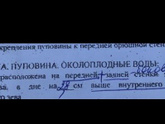 Девочки, нужно ваше мнение