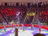 Цирк 🤡🎪