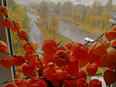 Утречко