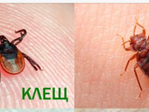 Время 04:43...