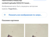 Лебединая песня