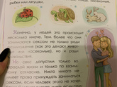 Откуда берутся дети или как выкрутиться из ситуации